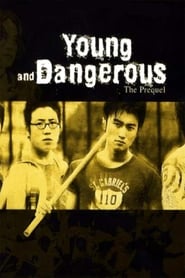 Young and Dangerous: The Prequel (1998)